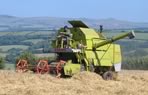 We grow organic oats, barley, wheat and peas for our animals
